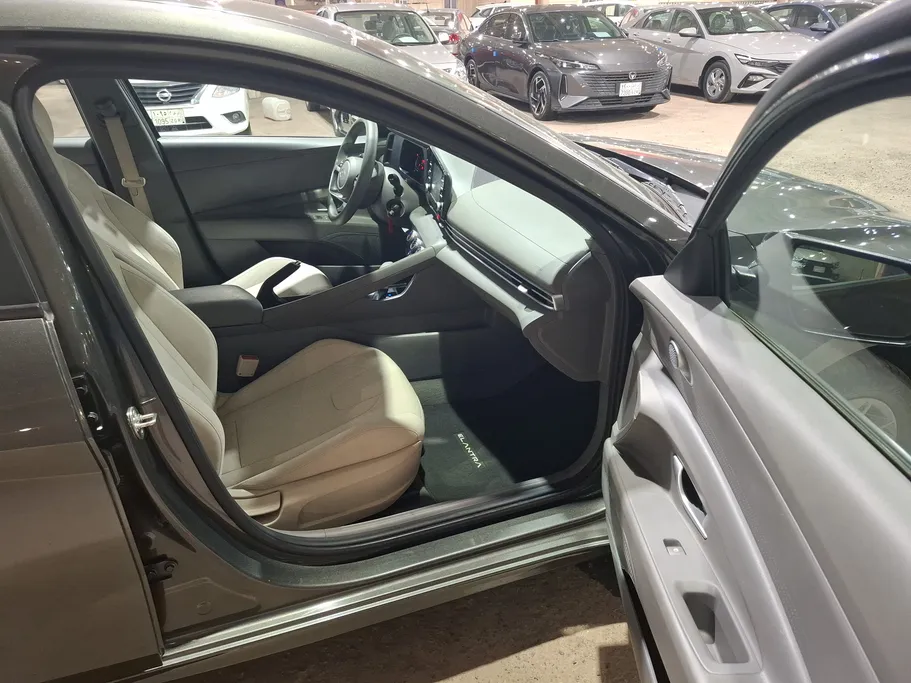 2024 Hyundai Elantra Fleet 