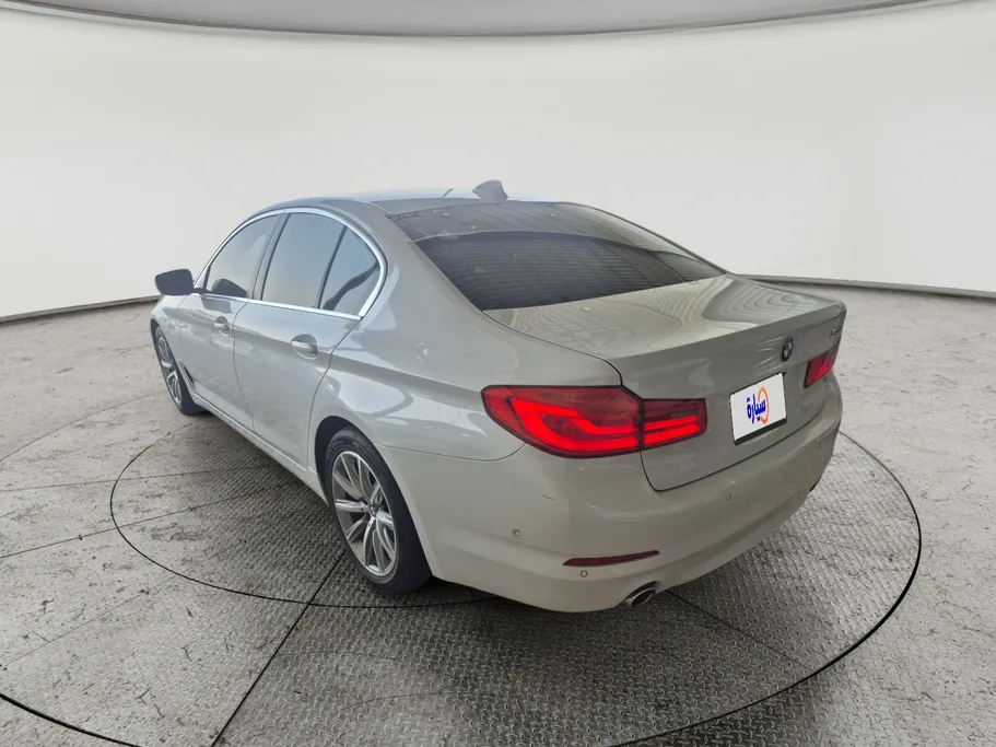 2020 BMW 5 Series 520i 