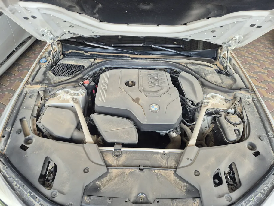 2020 BMW 5 Series 520i 