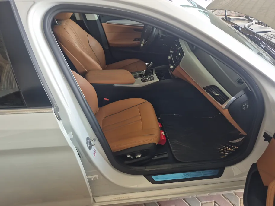 2020 BMW 5 Series 520i 