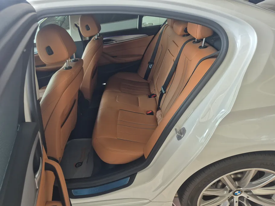 2020 BMW 5 Series 520i 