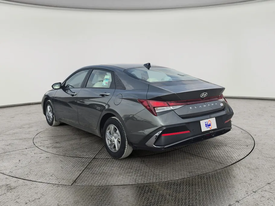 2025 Hyundai Elantra Fleet 