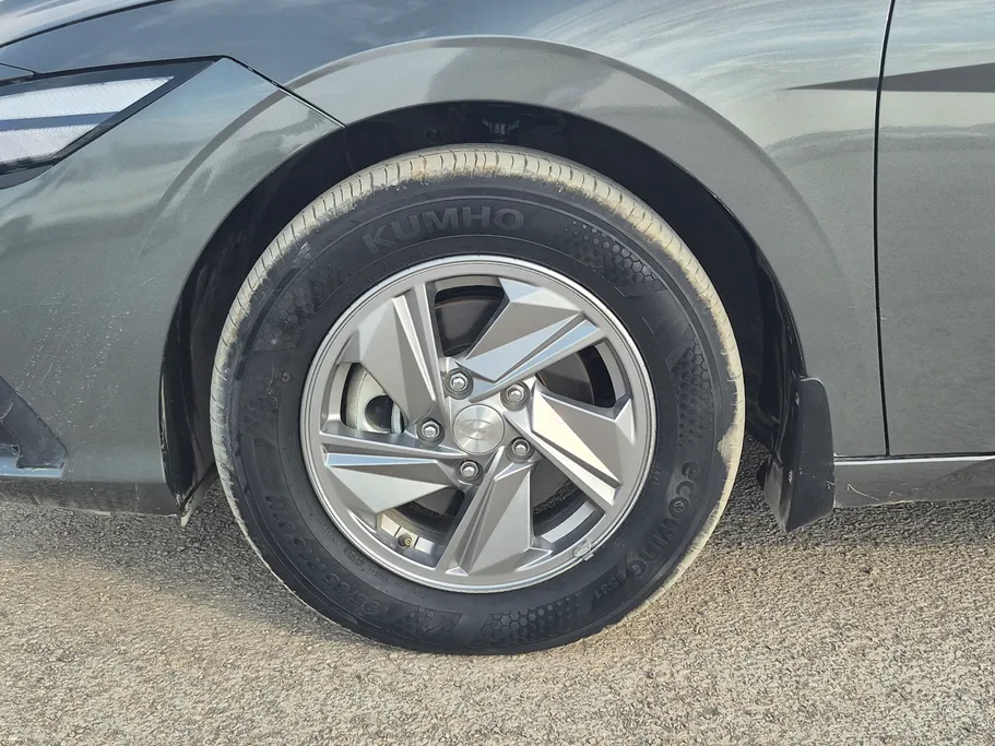 2025 Hyundai Elantra Fleet 