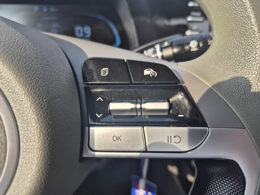 2025 Hyundai Elantra Fleet 