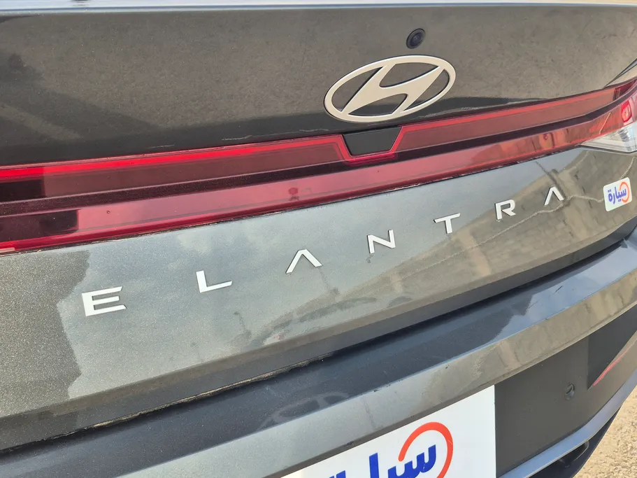2025 Hyundai Elantra Fleet 