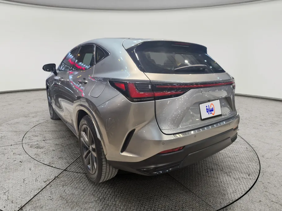 2024 Lexus NX 350h HH 