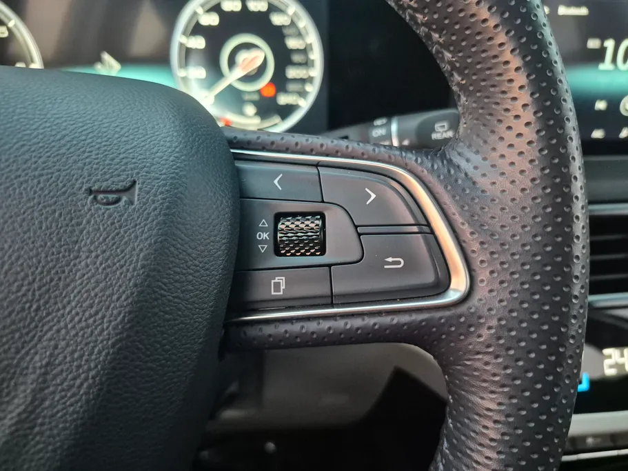 2023 Hongqi HS5 Deluxe 
