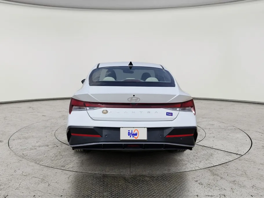 2024 Hyundai Elantra Fleet 