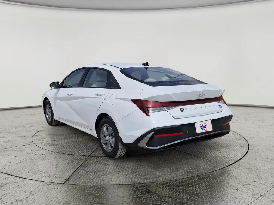 2024 Hyundai Elantra Fleet 