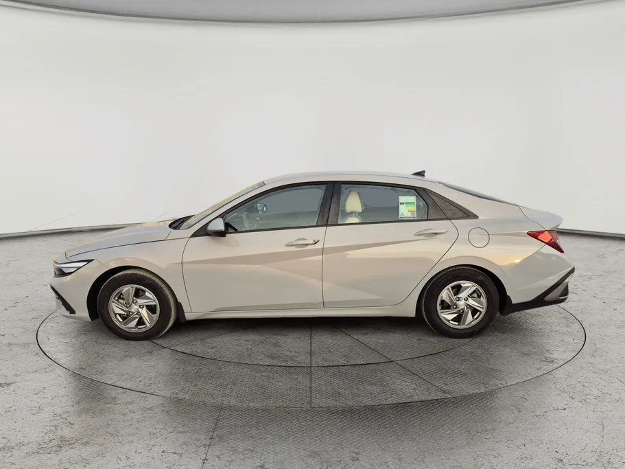 2024 Hyundai Elantra Fleet 