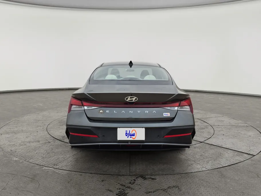 2024 Hyundai Elantra Fleet 