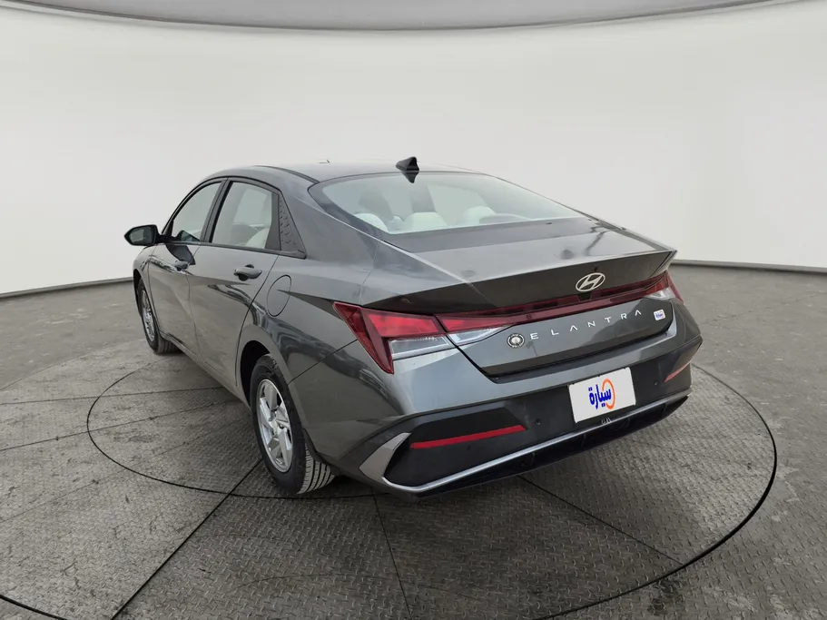 2024 Hyundai Elantra Fleet 
