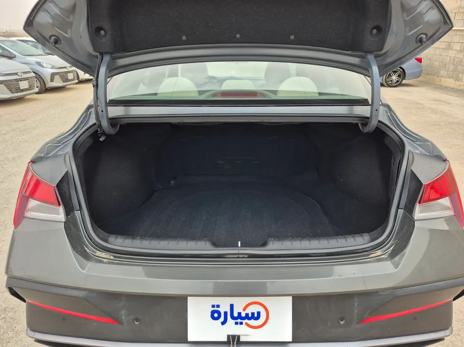 2024 Hyundai Elantra Fleet 