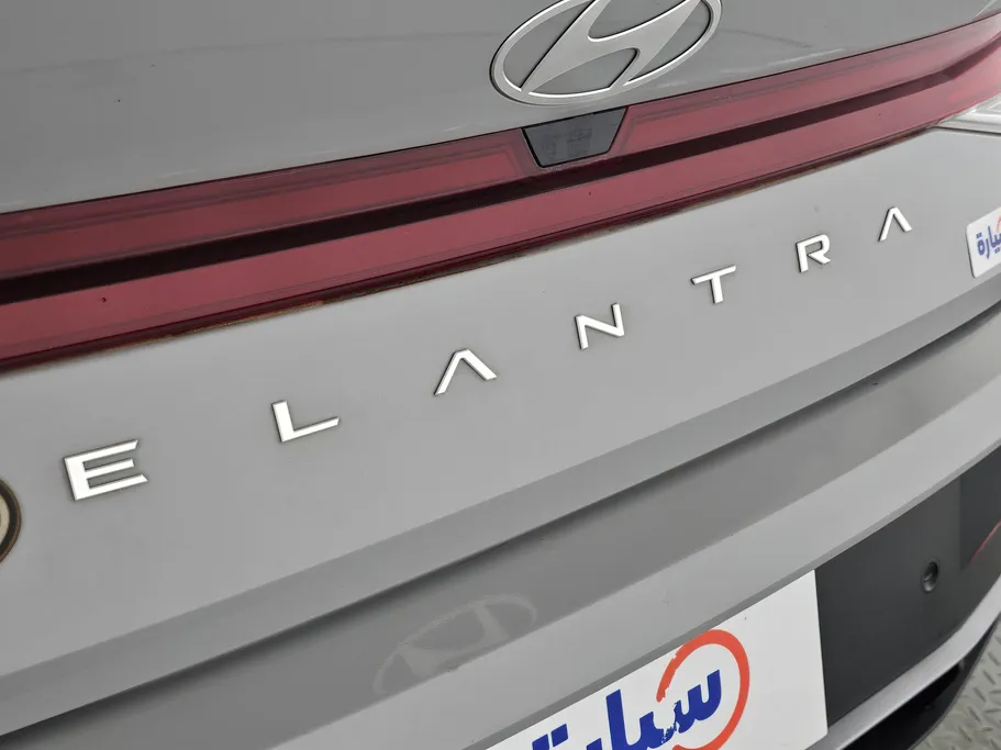 2024 Hyundai Elantra Fleet 