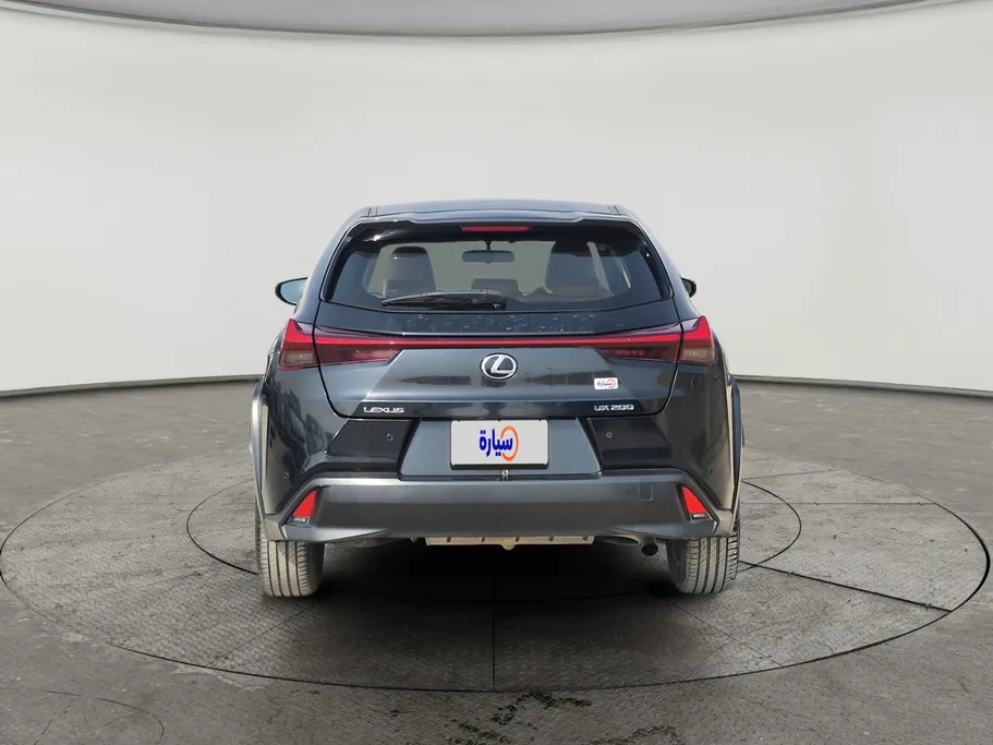 2019 Lexus UX 200 