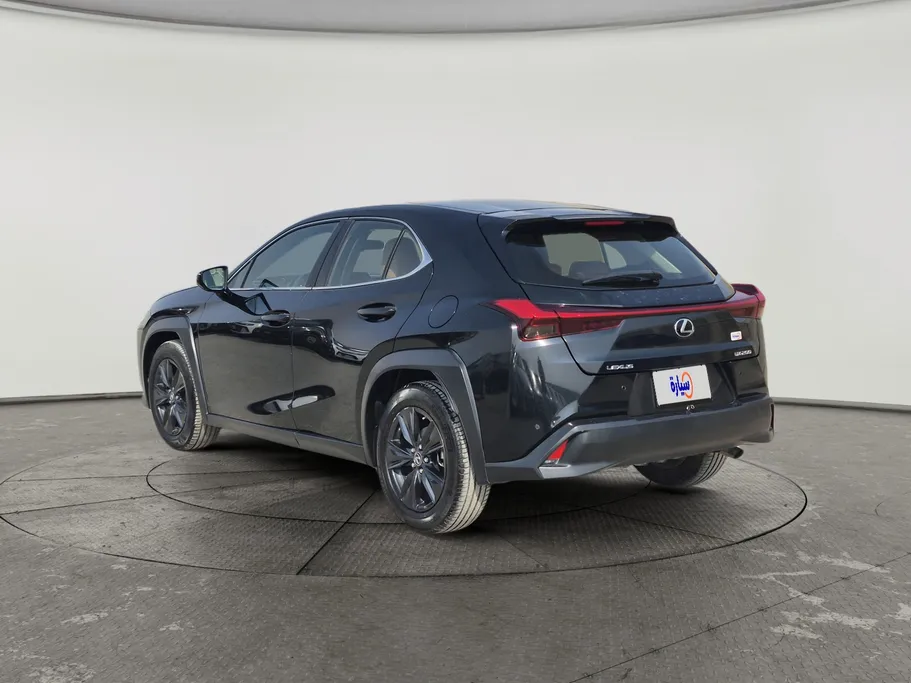 2019 Lexus UX 200 