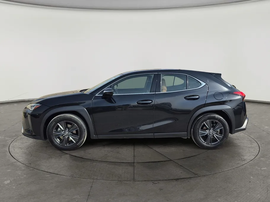 2019 Lexus UX 200 