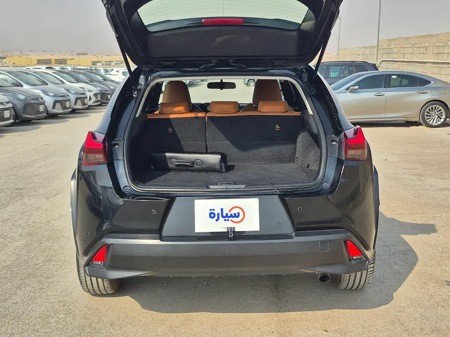 2019 Lexus UX 200 