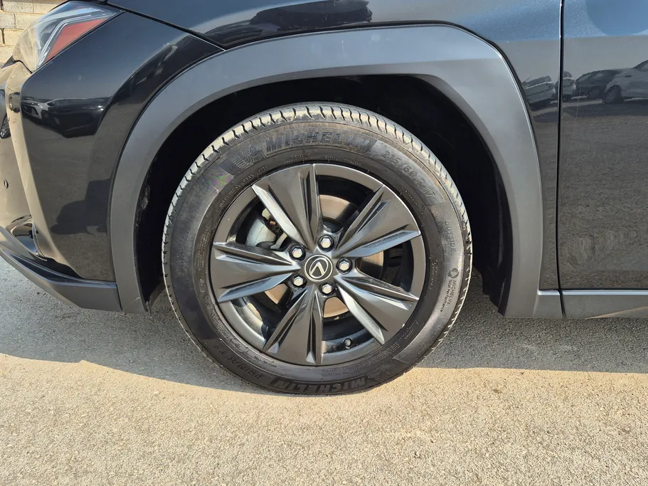 2019 Lexus UX 200 