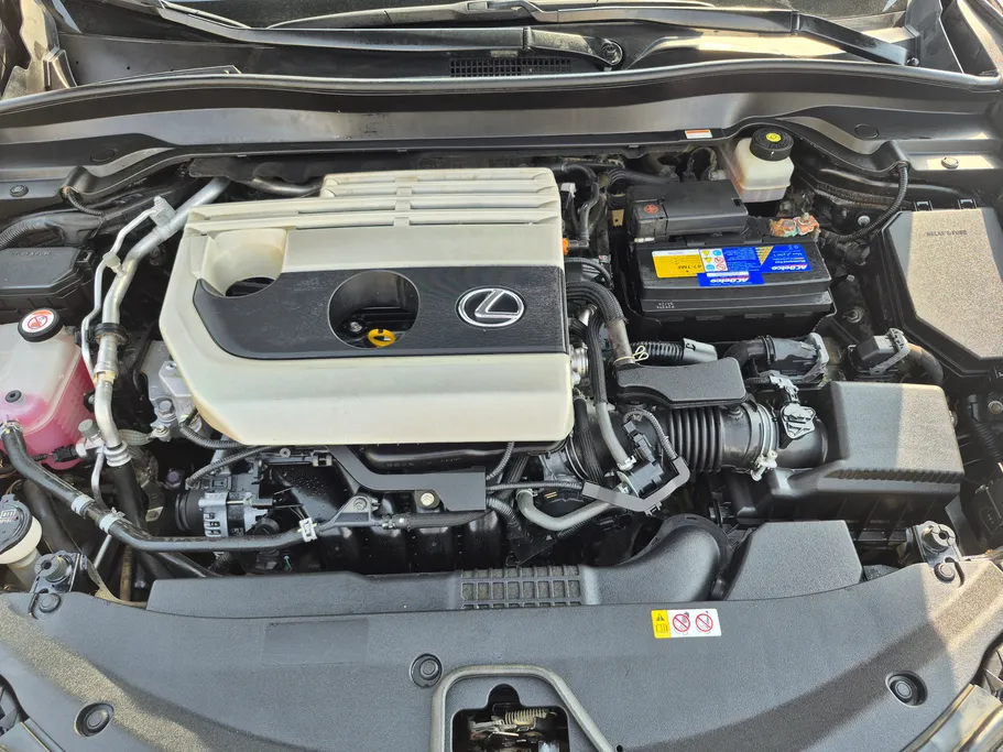 2019 Lexus UX 200 