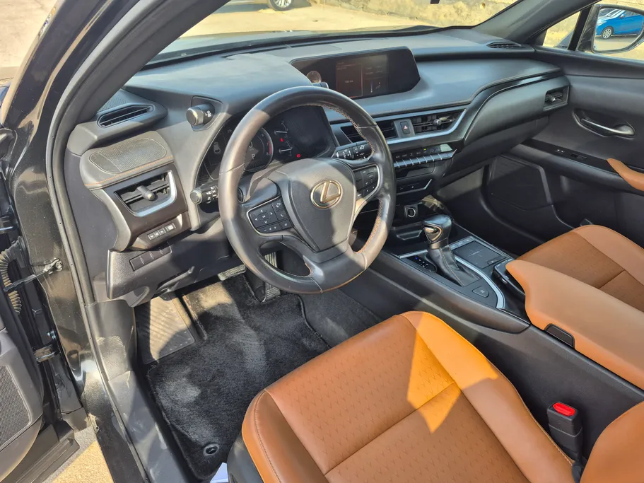 2019 Lexus UX 200 