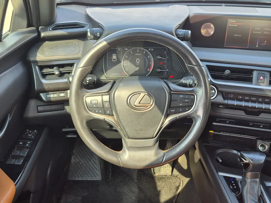 2019 Lexus UX 200 