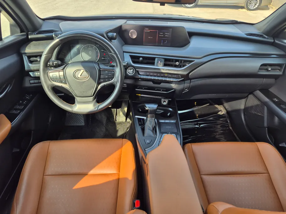 2019 Lexus UX 200 