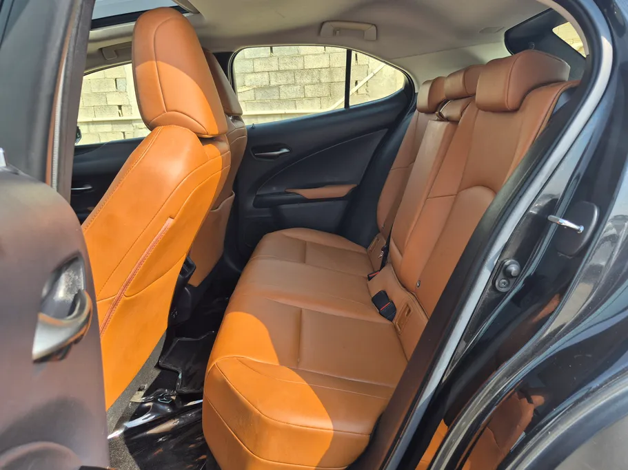 2019 Lexus UX 200 