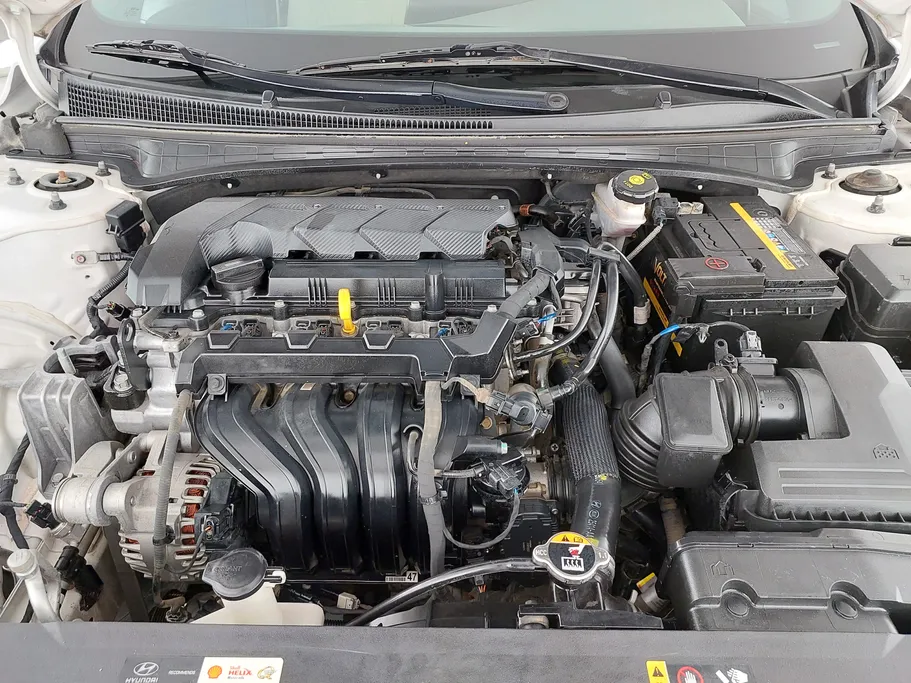2023 Hyundai Elantra Fleet 