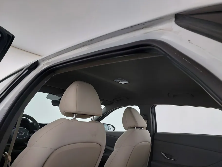 2023 Hyundai Elantra Fleet 