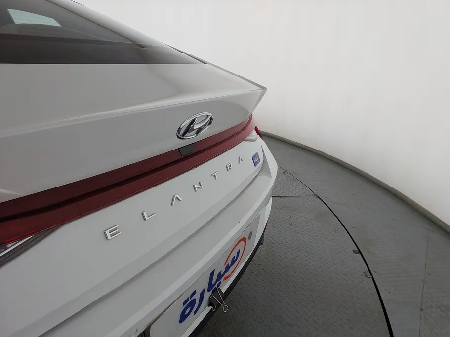 2023 Hyundai Elantra Fleet 