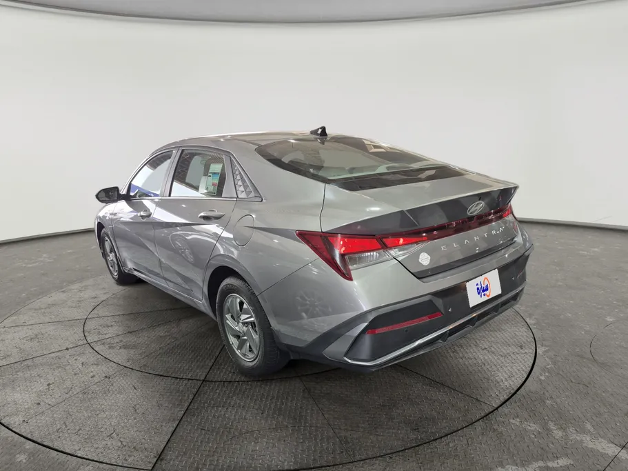 2025 Hyundai Elantra Fleet 