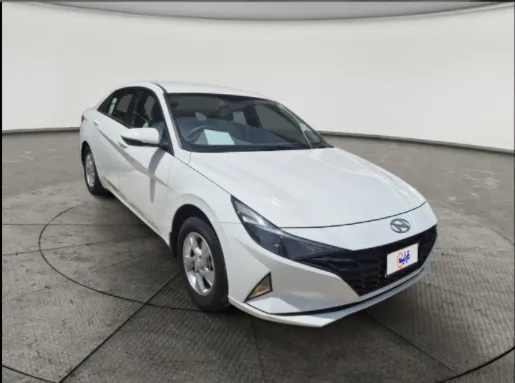 2023 Hyundai Elantra Fleet 
