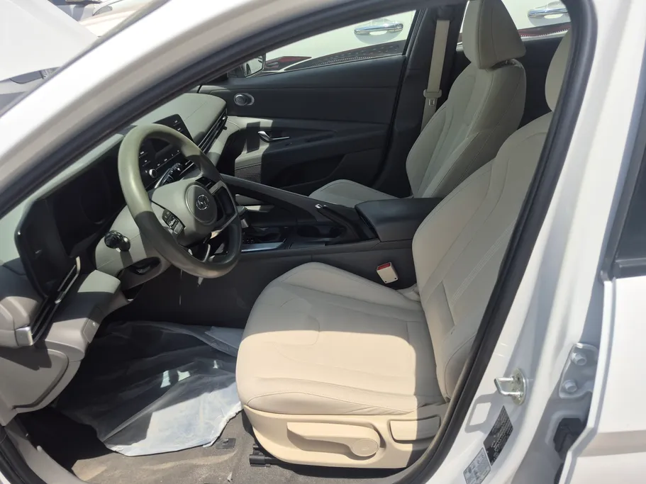 2023 Hyundai Elantra Fleet 