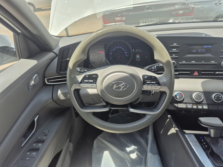 2023 Hyundai Elantra Fleet 