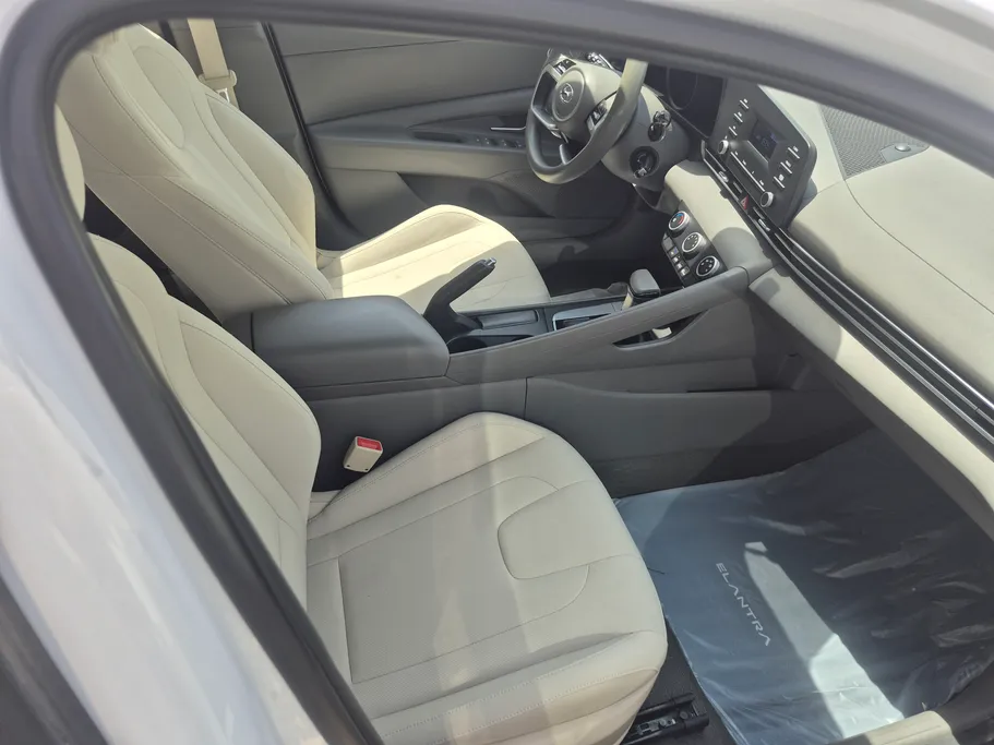 2023 Hyundai Elantra Fleet 