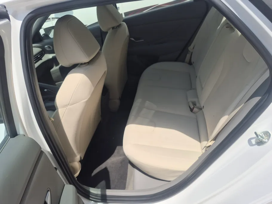 2023 Hyundai Elantra Fleet 