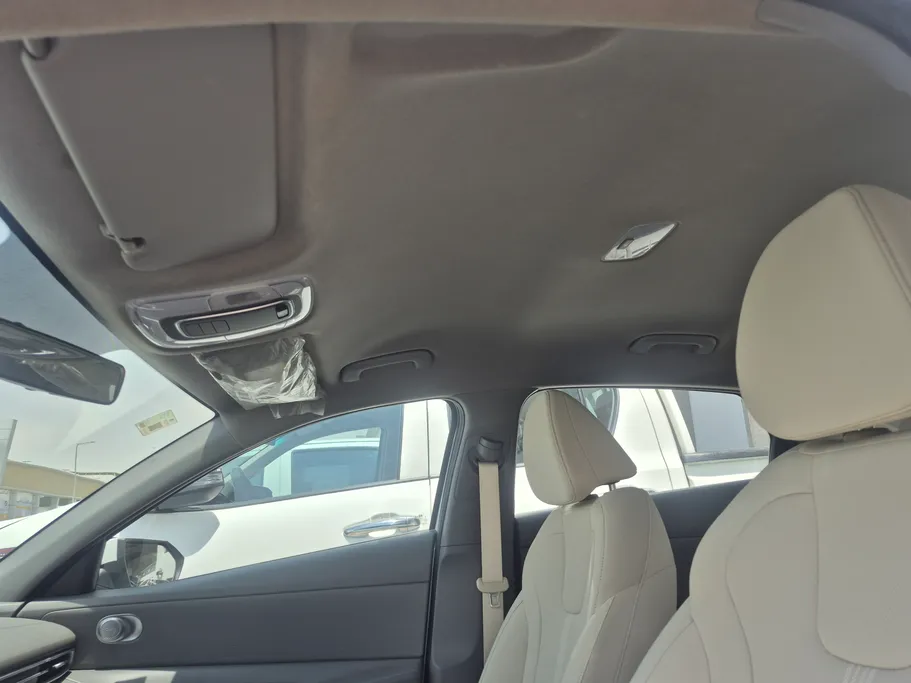 2023 Hyundai Elantra Fleet 
