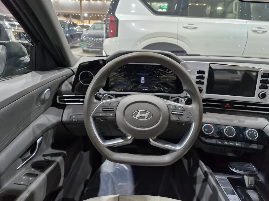 2025 Hyundai Elantra Fleet 