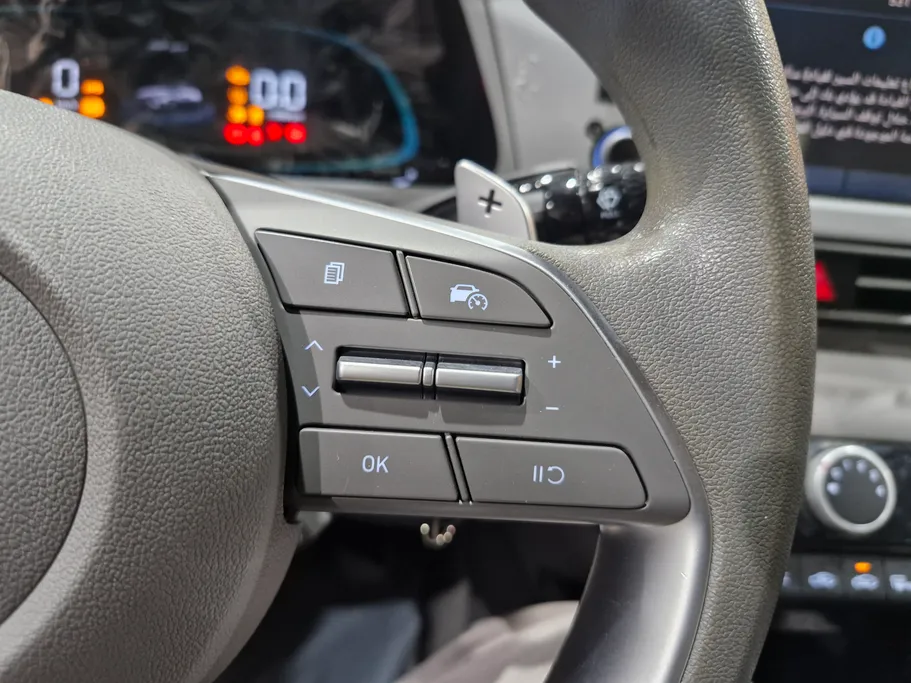 2025 Hyundai Elantra Fleet 