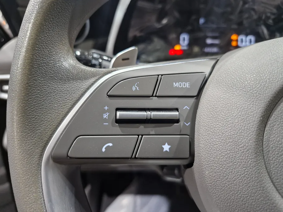 2025 Hyundai Elantra Fleet 