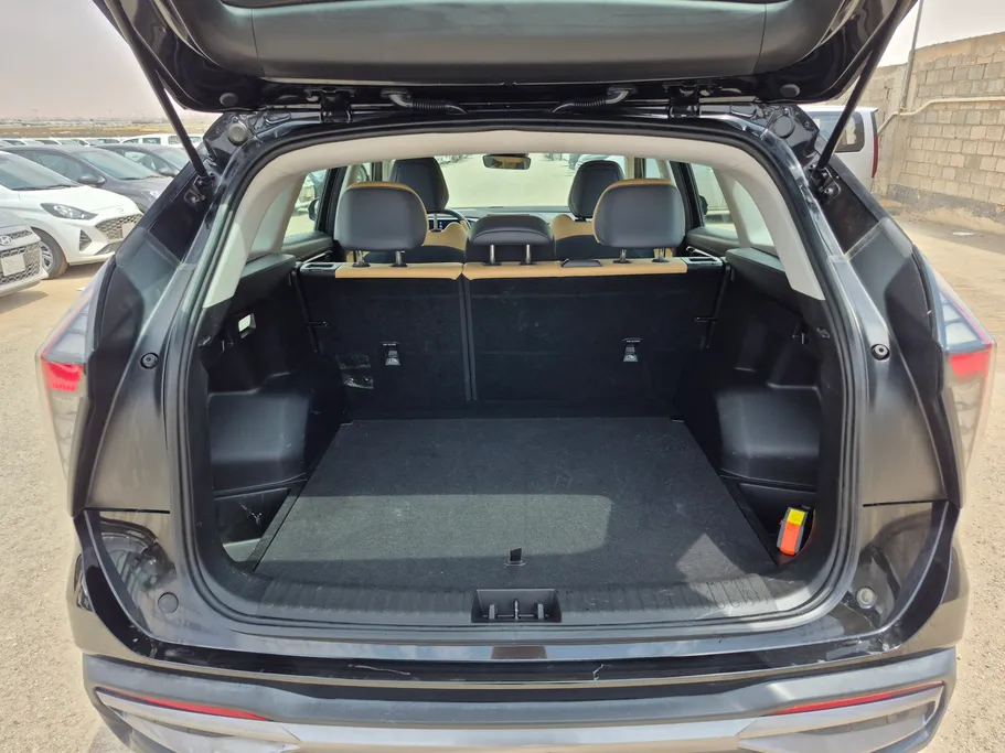 2024 Geely StarRay GK 