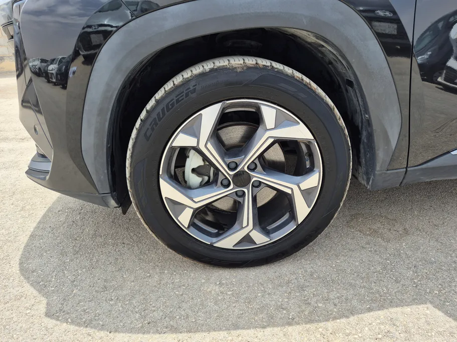2024 Geely StarRay GK 