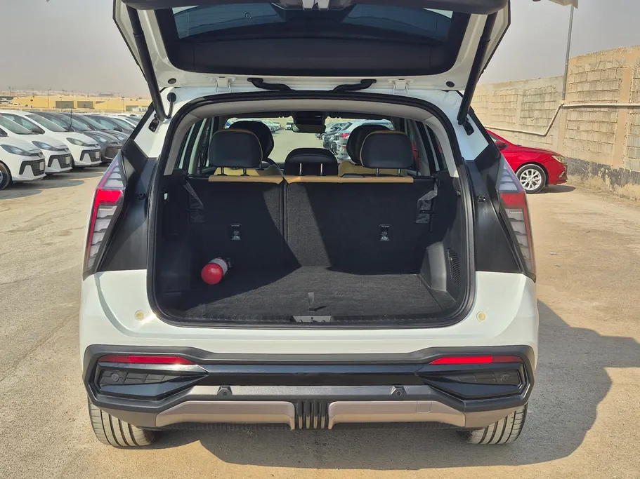 2024 Geely StarRay GF+ 