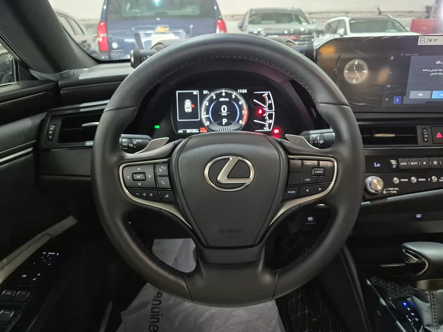 2025 Lexus ES 250 
