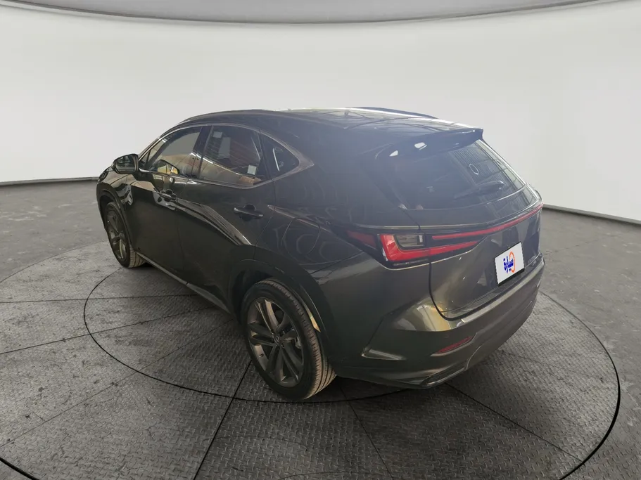 لكزس NX 350 CC 2022 