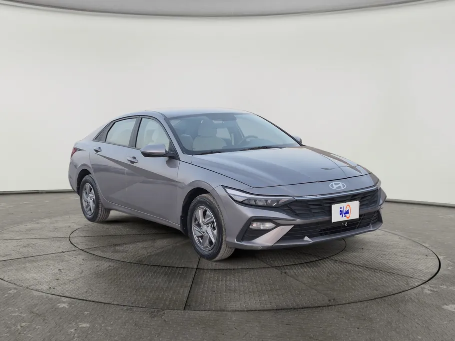 2025 Hyundai Elantra Fleet 