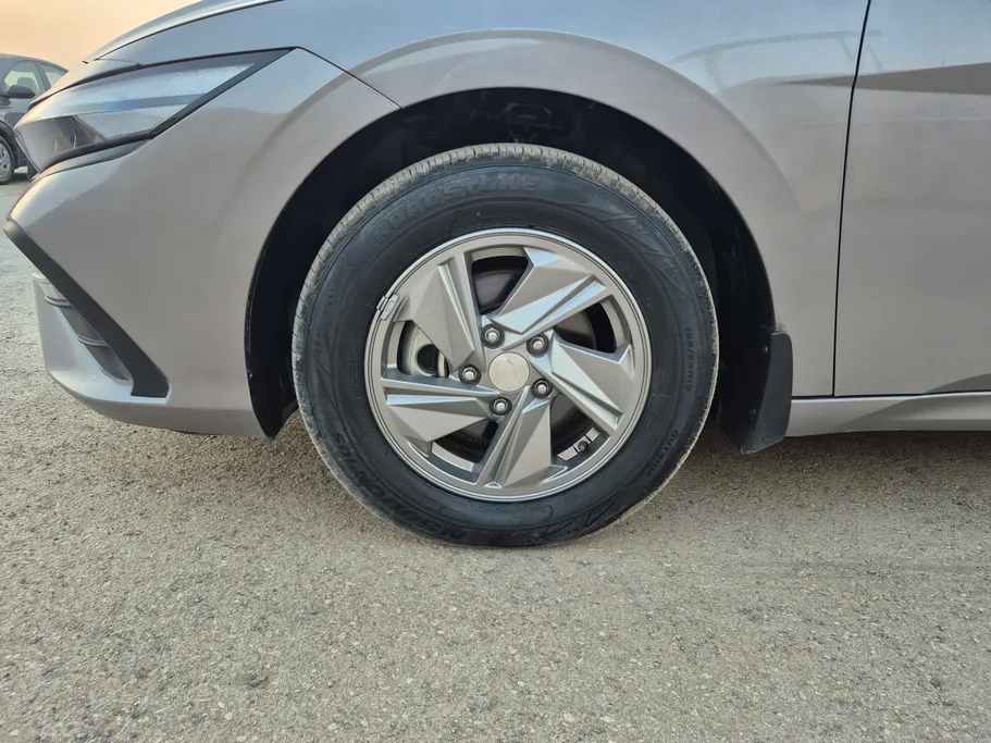 2025 Hyundai Elantra Fleet 