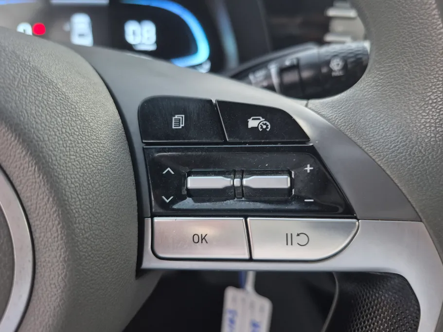 2025 Hyundai Elantra Fleet 