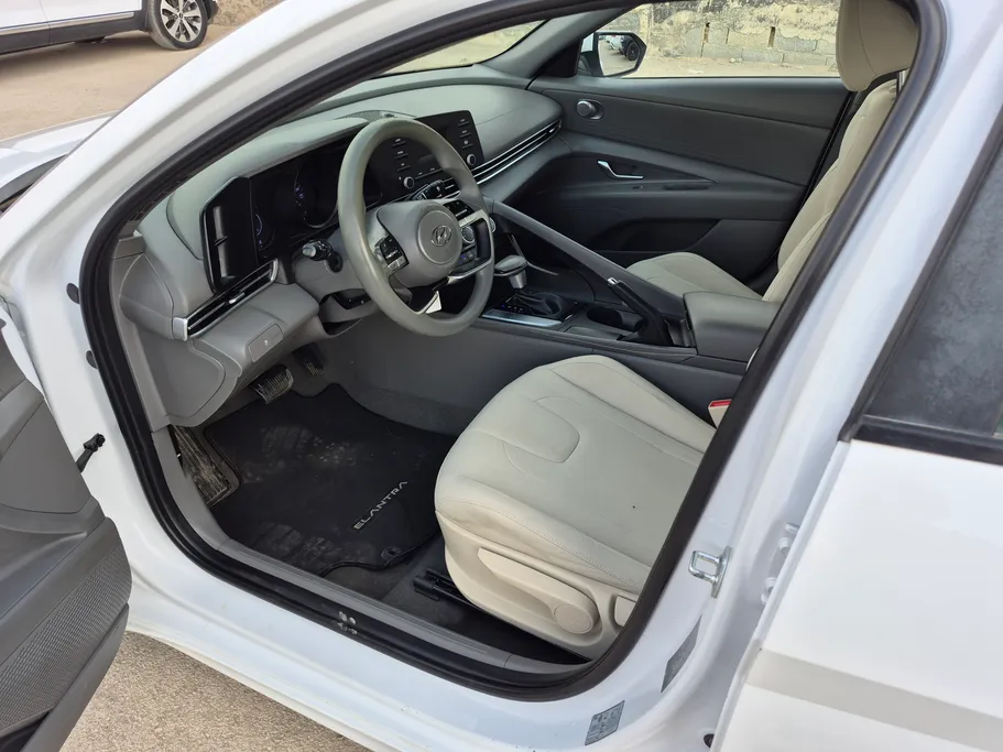 2023 Hyundai Elantra Fleet 